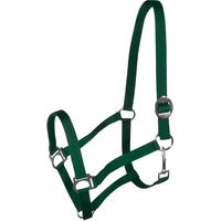 Produktbild von York Harmony Pony Halfter aus Nylon in Grün