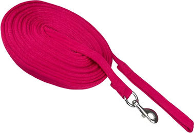 Produktbild von York Longierleine für Pferde aus Stoff in Rot oder Rosa mit silbernen Elementen