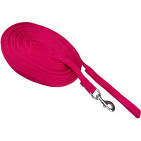 Produktbild von York Longierleine für Pferde aus Stoff in Rot oder Rosa mit silbernen Elementen