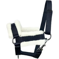 Produktbild von York Madlen Halfter für Pony in Schwarz aus Polyester