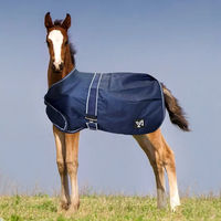 Produktbild von York Outdoor-Pferdedecke für Fohlen aus Polyester in Blau