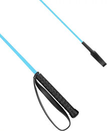 Produktbild von York Plastic Peitsche