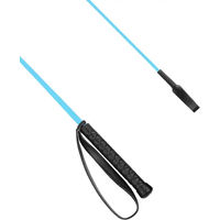 Produktbild von York Plastic Peitsche