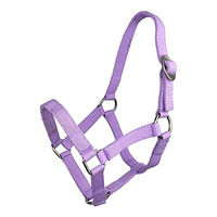 Produktbild von York Ponyhalfter Shetty Ponyhalfter Bandhalfter für Pferde in Violett