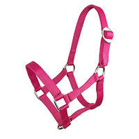 Produktbild von York Shetty Ponyhalfter Bandhalfter für Pferde in Rosa