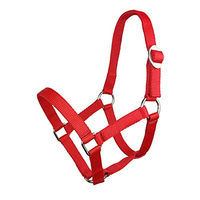 Produktbild von York Shetty Ponyhalfter Bandhalfter für Ponys in Rot