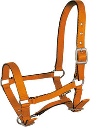 Produktbild von York Tobi Pferdehalfter für Fohlen aus Nylon in Orange