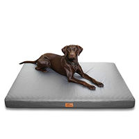 Produktbild von your GEAR Biella Orthopädisches Hundebett mit Memory Foam für große Hunde 160x100x10 cm Grau