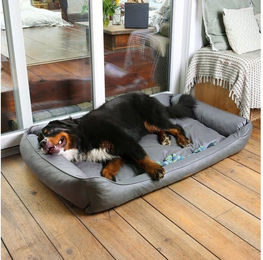 yourGEAR Belluno Hundebett XL Grau aus Kunstleder für große Hunde und Katzen 90x140cm – Bild 1 von 10