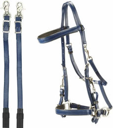 Produktbild von Zaumzeug für Pferde für Distanzritte aus PVC Daslö