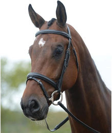 Produktbild von Zaumzeug für Pferde Kincade Flash