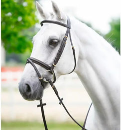 Produktbild von Zaumzeug für Pferde Stirnband bombiert rund Edelstahlbeschläge Daslö