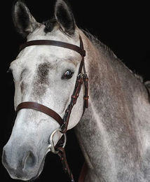 Produktbild von Zaumzeug Jagdreiten cavesson Weatherbeeta Collegiate IV