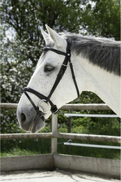 Produktbild von Zaumzeug Kombiniertes Reiten Norton Pro