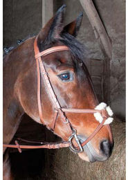 Produktbild von Zaumzeug Kreuz-Reiten T de T Sisley