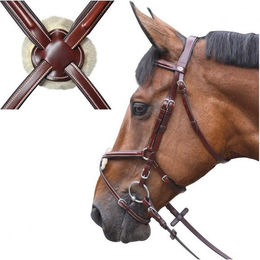 Produktbild von Zaumzeug Reiten austin gekreuzt Lexington