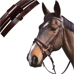 Produktbild von Zaumzeug Reiten austin kombiniert Lexington