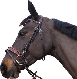 Zaumzeug Reiten Canter Alme – Bild 1 von 4