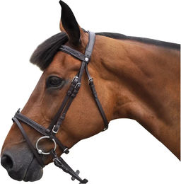 Produktbild von Zaumzeug Reiten Canter Black strass