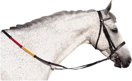 Produktbild von Zaumzeug Reiten Canter Club