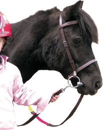 Produktbild von Zaumzeug Reiten Canter Club