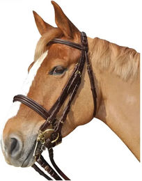 Produktbild von Zaumzeug Reiten Canter Euro