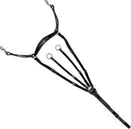 Produktbild von Zaumzeug Reiten Denver kombiniert Lexington