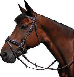 Produktbild von Zaumzeug Reiten Flags&Cup Copenhague