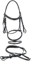 Produktbild von Zaumzeug Reiten Flags&Cup Göteborg