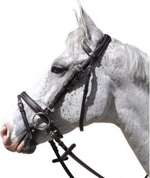 Produktbild von Zaumzeug Reiten Flags&Cup Göteborg