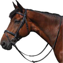 Produktbild von Zaumzeug Reiten Flags&Cup Helsinki