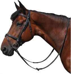 Produktbild von Zaumzeug Reiten Flags&Cup Helsinki