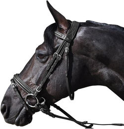 Produktbild von Zaumzeug Reiten Flags&Cup Hickstead