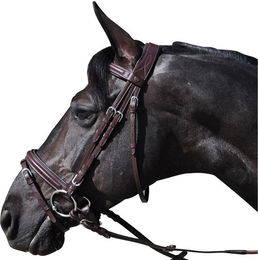 Produktbild von Zaumzeug Reiten Flags&Cup Hickstead