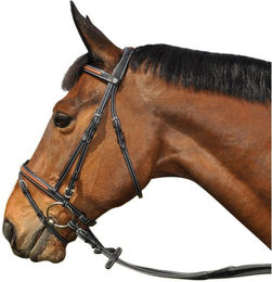 Produktbild von Zaumzeug Reiten Flags&Cup Oslo