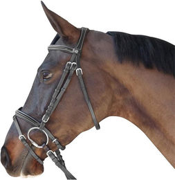 Produktbild von Zaumzeug Reiten gesteppt kombiniert Canter