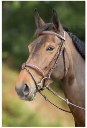 Produktbild von Zaumzeug Reiten HFI Anatomic