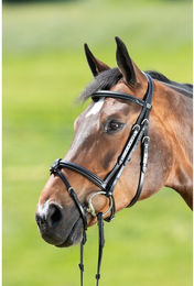 Produktbild von Zaumzeug Reiten HFI Anatomic