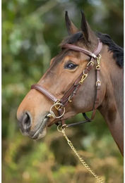 Produktbild von Zaumzeug Reiten HFI Combo