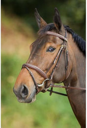 Produktbild von Zaumzeug Reiten HFI Comfort
