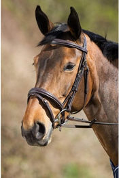 Produktbild von Zaumzeug Reiten HFI Elegant