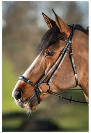 Produktbild von Zaumzeug Reiten HFI German