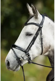 Produktbild von Zaumzeug Reiten HFI Luxe