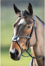 Produktbild von Zaumzeug Reiten HFI Mexican