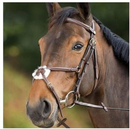 Produktbild von Zaumzeug Reiten HFI Mexican