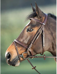 Produktbild von Zaumzeug Reiten HFI Regular