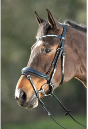 Produktbild von Zaumzeug Reiten HFI Shiny