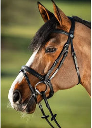 Produktbild von Zaumzeug Reiten HFI Soft