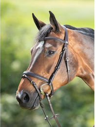 Produktbild von Zaumzeug Reiten HFI Soft