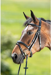 Produktbild von Zaumzeug Reiten HFI Technical